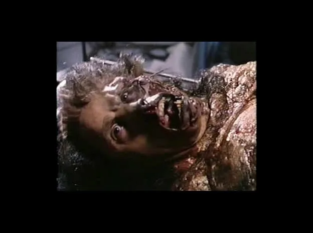 metal beast 1995