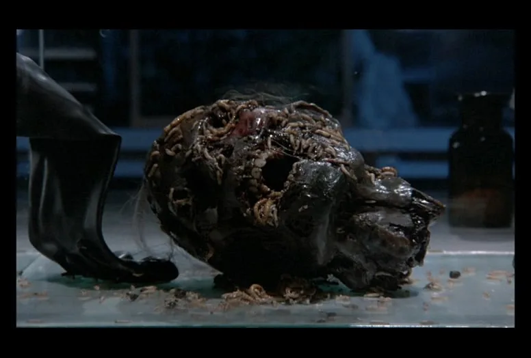 phenomena image 6