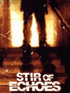 stir of echoes