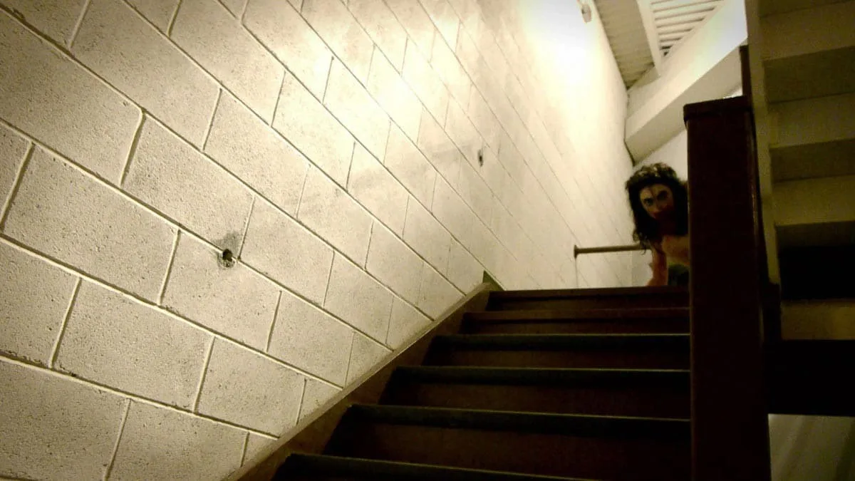 vhs 2012 image 4