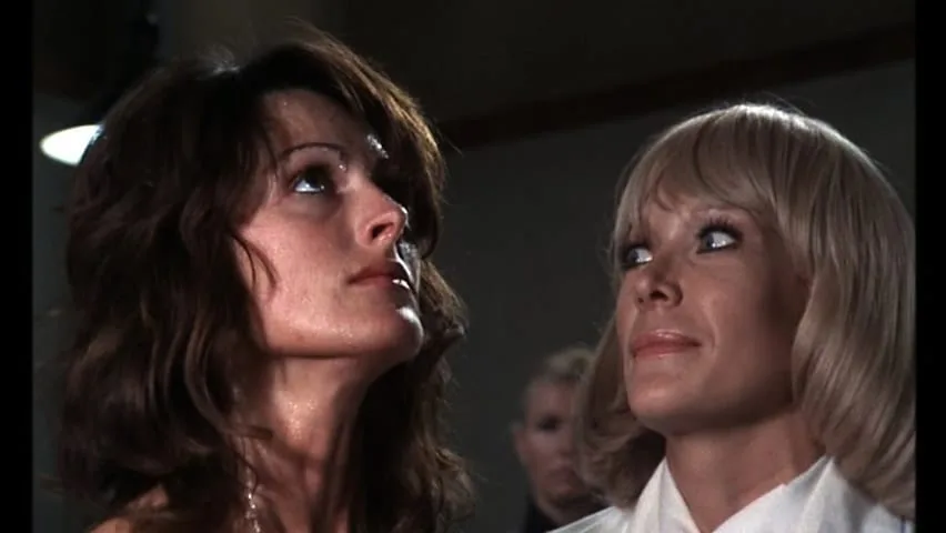 Ilsa she wolf of the ss 2