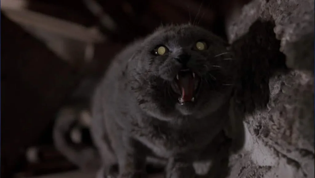 Pet Sematary 1989 image 6