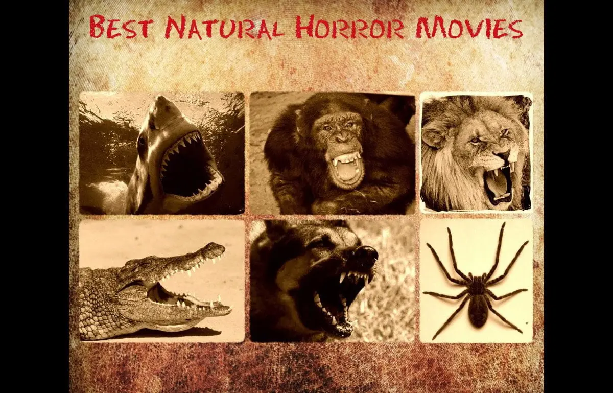 Οι 25 (+5) Καλύτερες Ταινίες Τρόμου Με Φονικά Ζώα