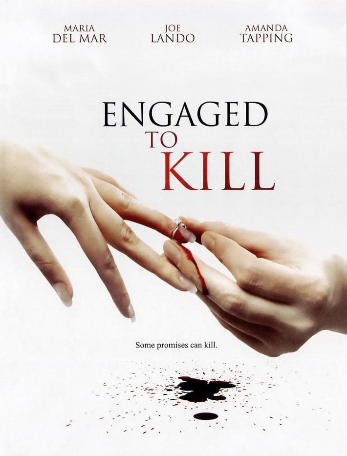 engaged kill 2006 poster