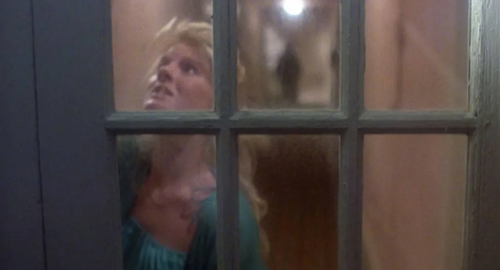 prowler 1981 image 4