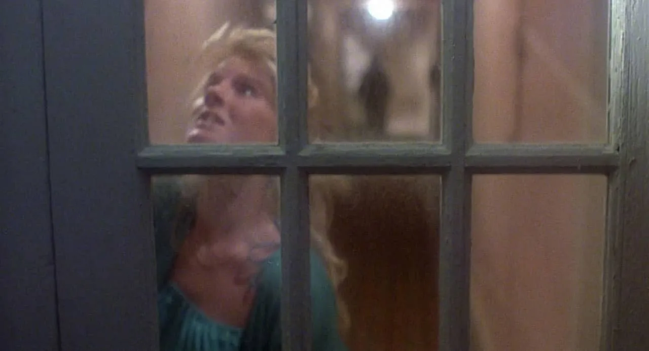 prowler 1981 image 4