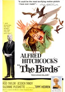 the birds 1963