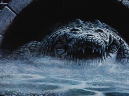 alligator 1980
