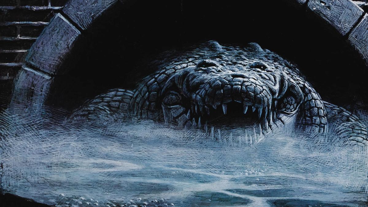 alligator 1980