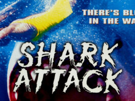 Shark Attack 1999