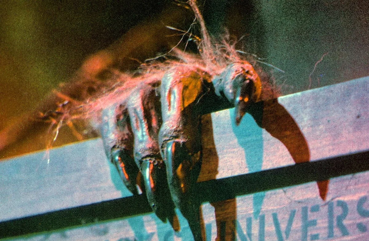 creepshow 1982 still 2