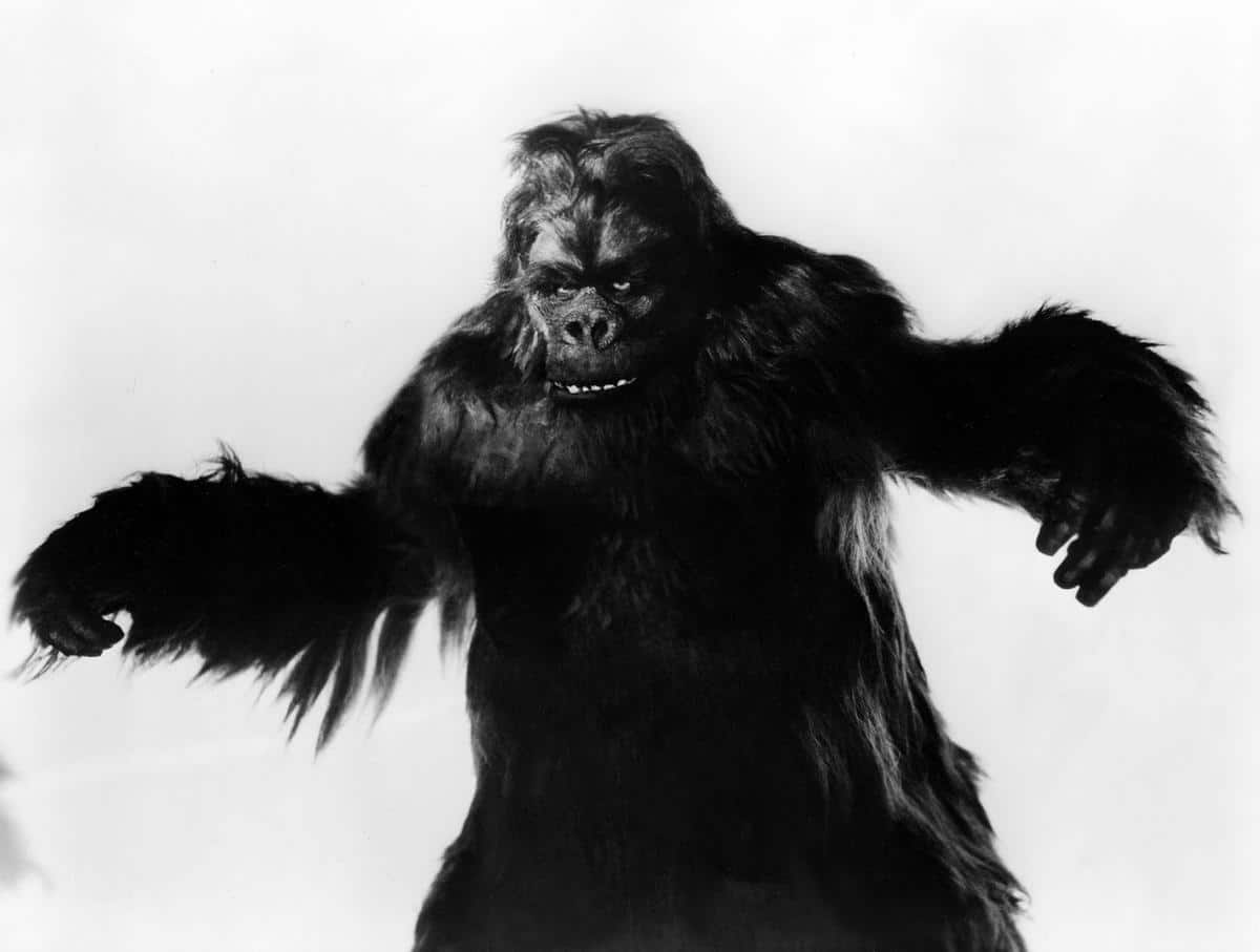 gorilla 1939