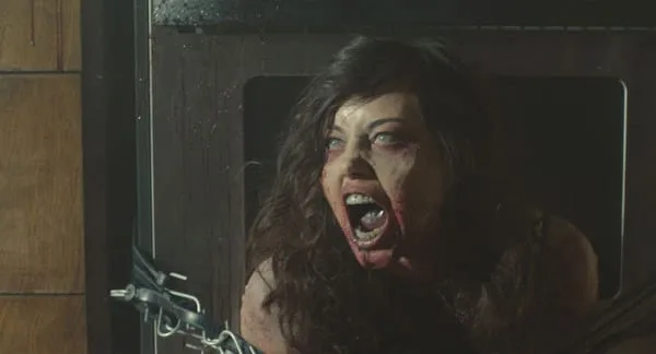 Life After Beth Photo
