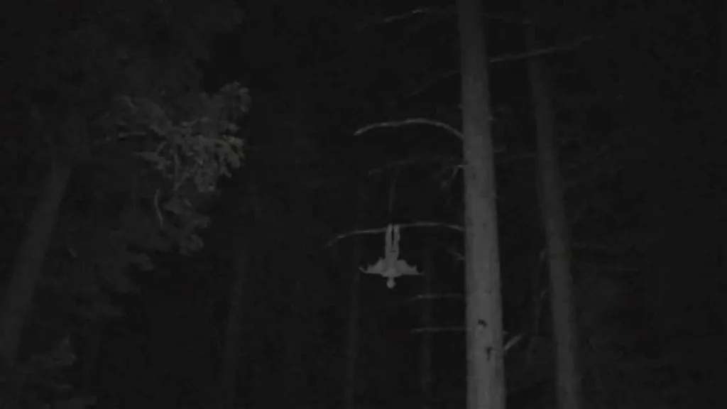 black water vampire still 3