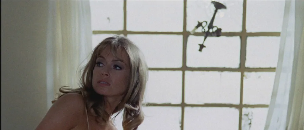 bird crystal plumage still 6