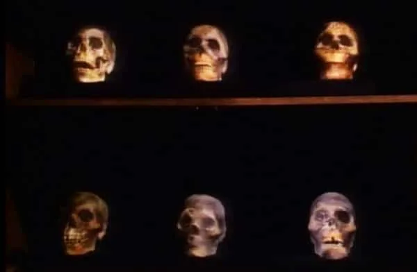anniversary dinner skulls children
