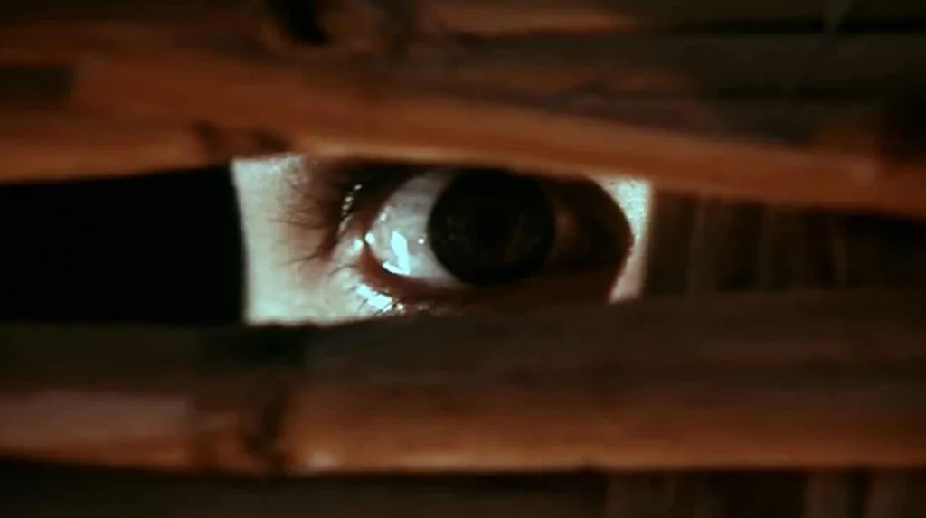 BayofBlood-giallo