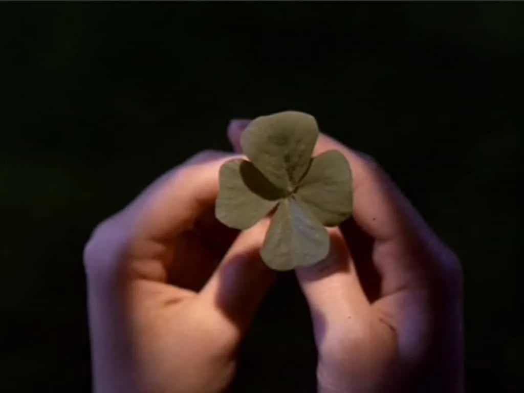 leprechaun leaf