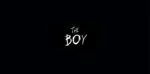 the boy 2016