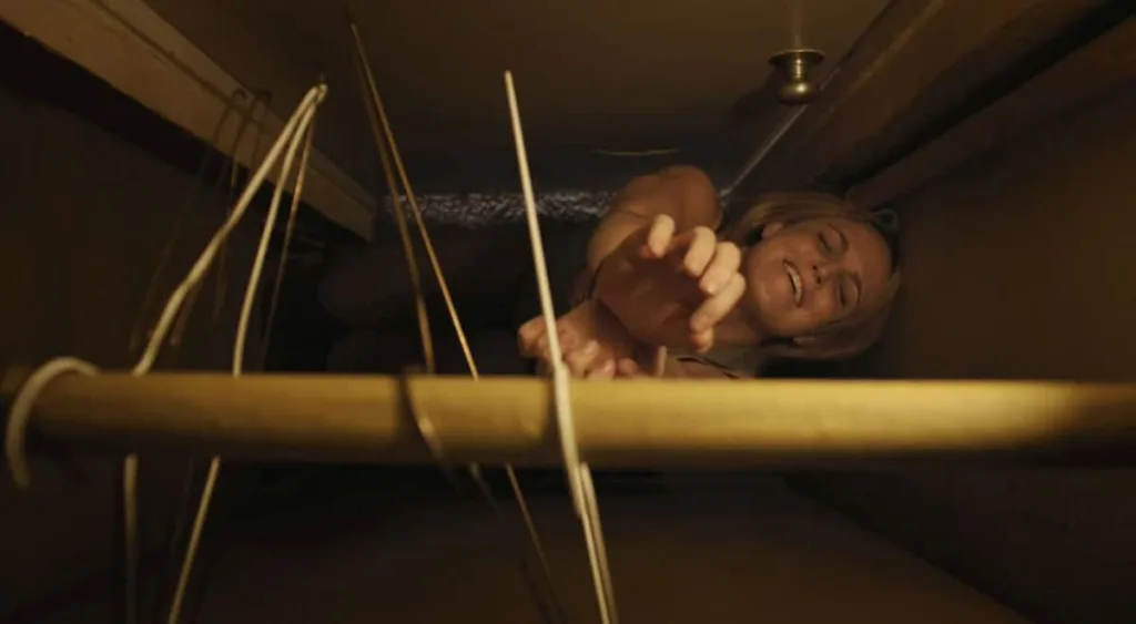 caity lotz pact