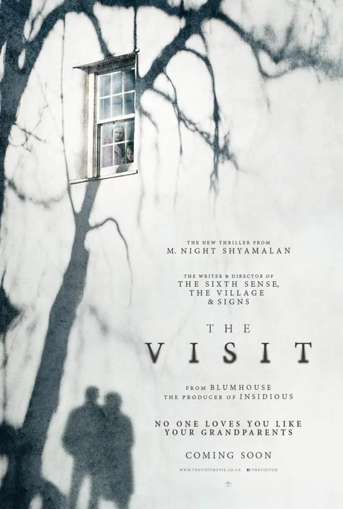 the visit poster