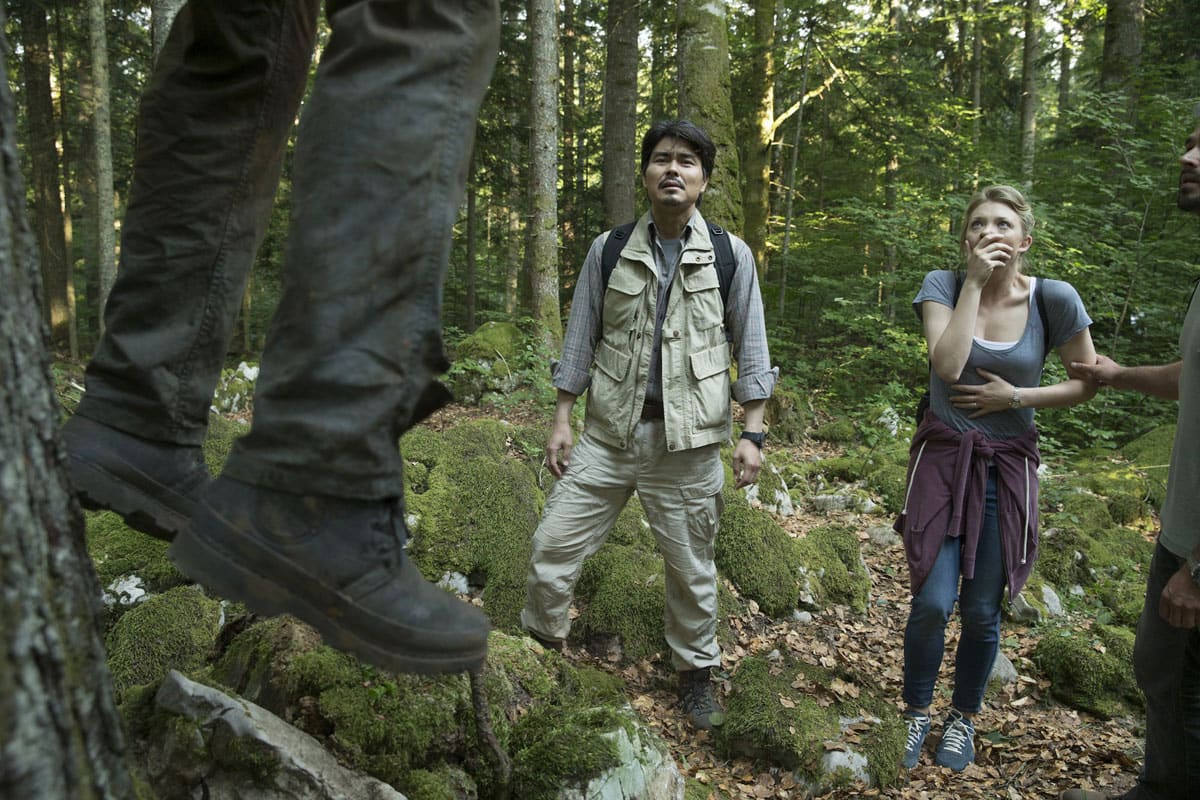 the forest film still