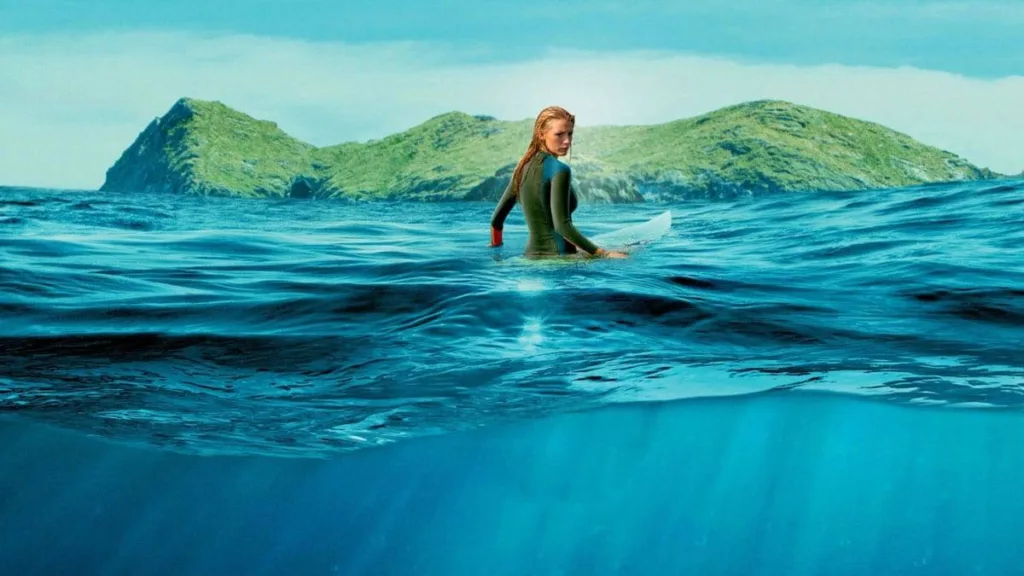 the shallows