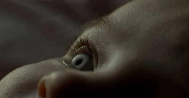 shelley review