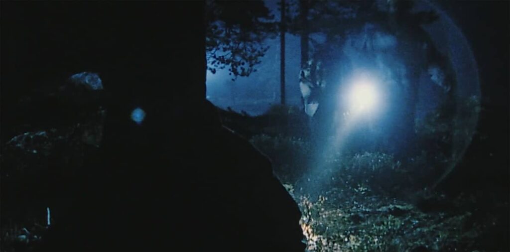 dark woods 2003
