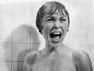 Psycho Shower Scene