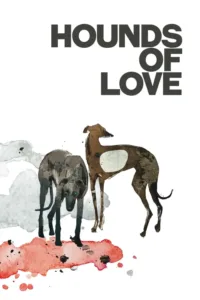 hounds of love