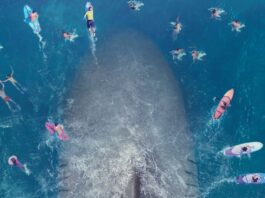 the meg poster