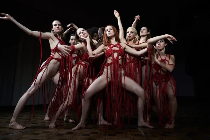 suspiria luca guadagnino