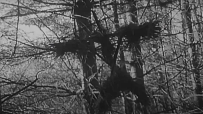 Νέο The Blair Witch Project από δύο μεγάλες εταιρίες!