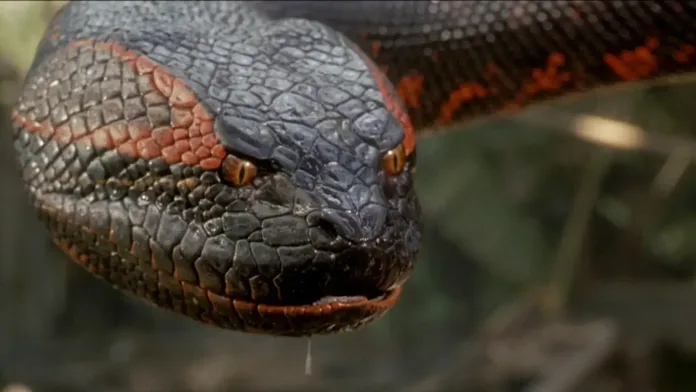 plirofories gia to neo anaconda